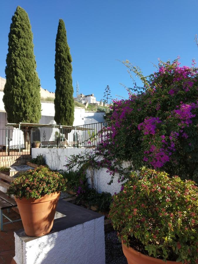 Cielo Del Albayzin Apartment Granada Luaran gambar